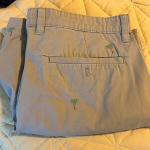🌴 Men’s 34 Shorts by Crown & Ivy
